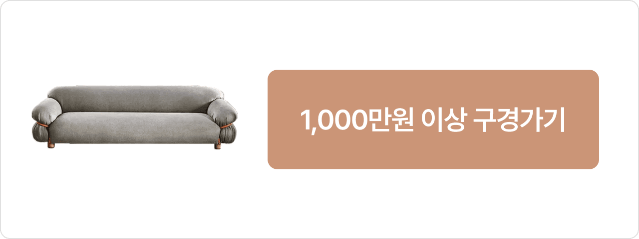 1000만원 이상 구경가기